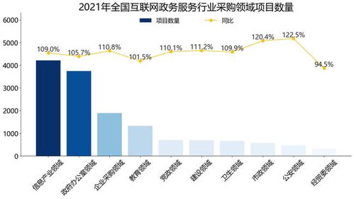 2021年全國互聯網政務服務行業招標采購報告（簡版）——聚焦北京網絡技術服務