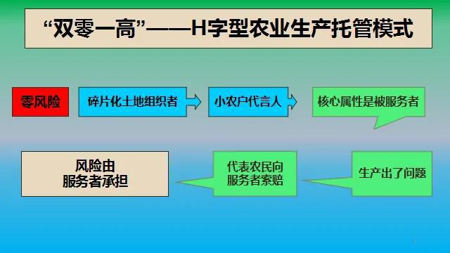 造血式鄉(xiāng)村振興 農(nóng)業(yè)生產(chǎn)托管服務(wù)的創(chuàng)新路徑與實踐探索